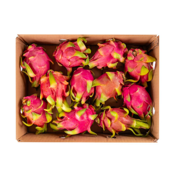 Dragon Fruits
