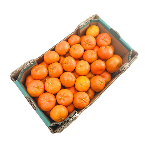 Tango Mandarines